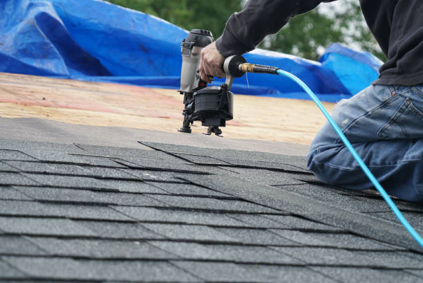 Best Roof Gutter Cleaning  in Nokomis, FL